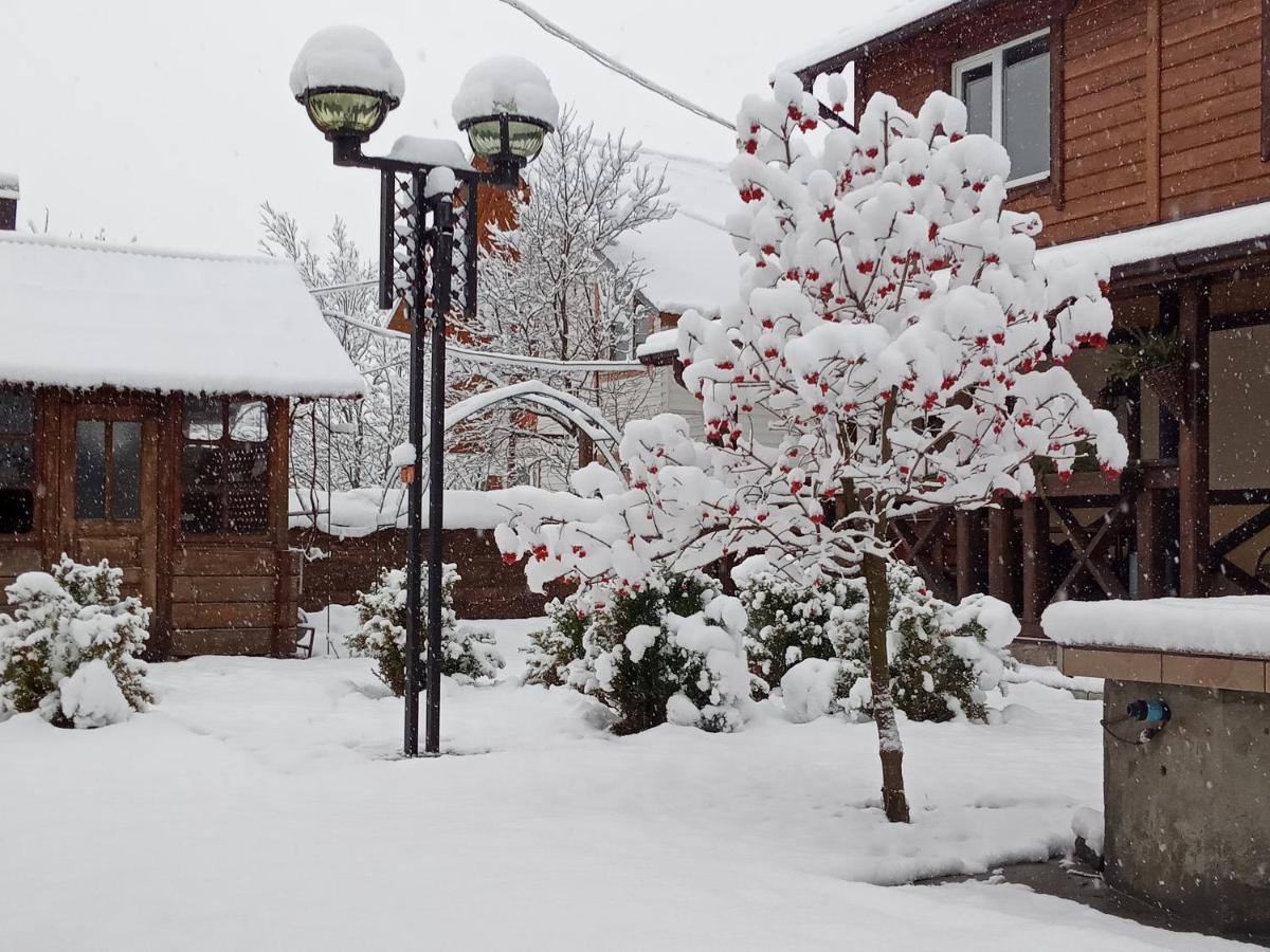 Krokus House Verhovîna Exterior foto