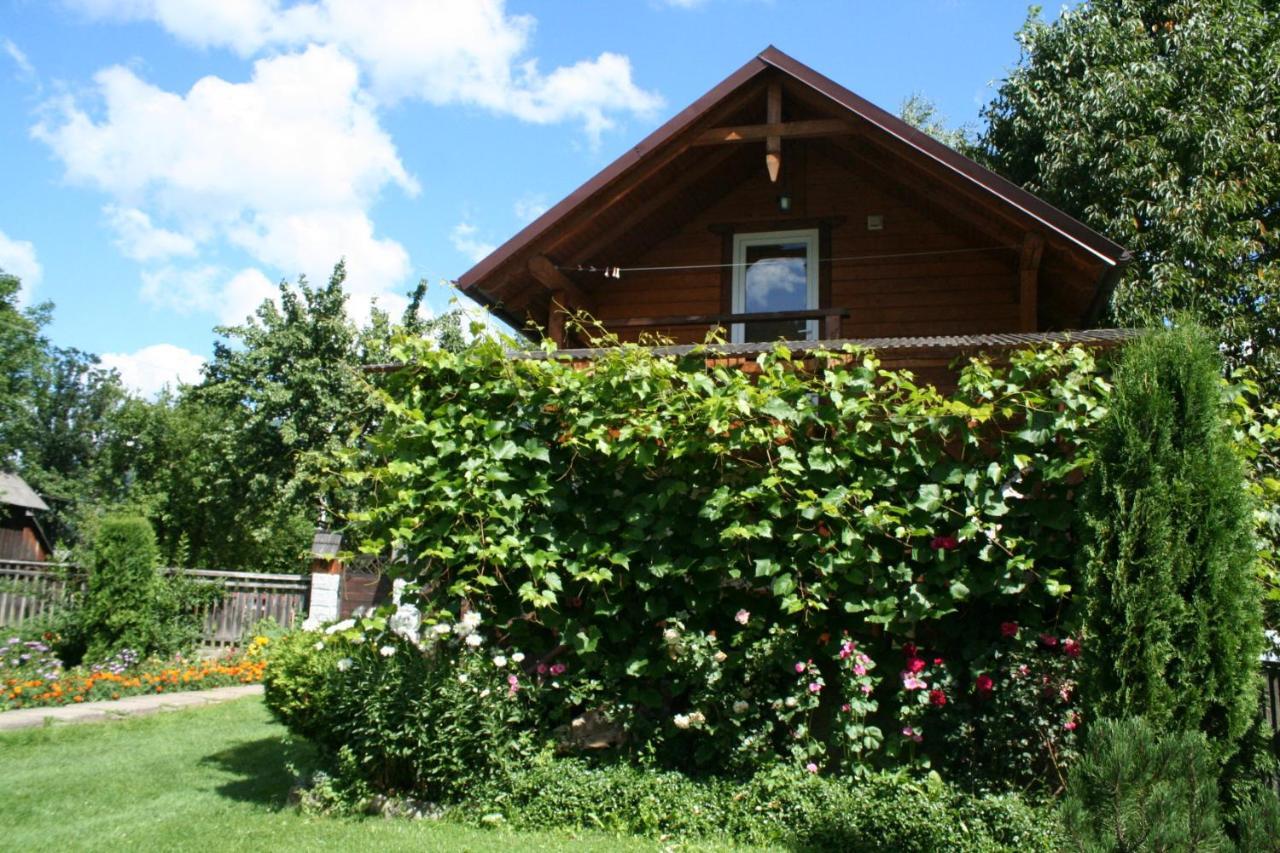 Krokus House Verhovîna Exterior foto